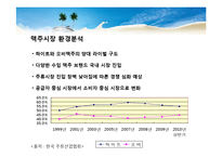 [마케팅 원론] 하이트 맥주 분석과 마케팅 전략-8