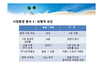 [마케팅 원론] 하이트 맥주 분석과 마케팅 전략-9