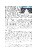 브라질 사회와 문화-쌍 파울로 카니발 삼바 축제-2