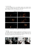 영상문법-영화 `300`의 편집기법 분석-7