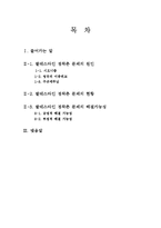 [중동사회와 문화] 팔레스타인 정착촌 문제와 해결 가능성-1