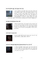 [심리학] 프로이트 심리학- 영화 `아메리칸 뷰티` 속 강박증 분석-6