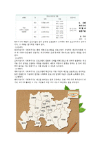 [사회복지] 다문화자녀 합창단 기획안-8