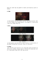 영상문법-영화 `이터널 선샤인`속 미장센, 셔레이드와 편집기법-9