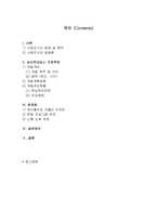 [지역관광 개발론] 남산 르네상스의 문제점과 발전방안-2
