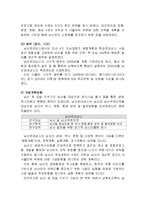 [지역관광 개발론] 남산 르네상스의 문제점과 발전방안-6