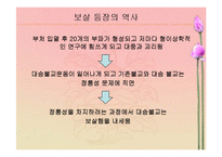 불교사상의 이해-보살 사상-4