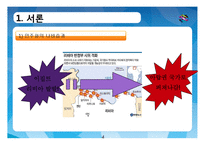 정치와 문화-한국과 아프리카 나라의 민주화와 문화 비교-4