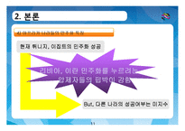 정치와 문화-한국과 아프리카 나라의 민주화와 문화 비교-11