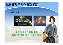 [도시정부관리론] 노원구 문화정책 발전방안-`문화의 거리`를 중심으로-19