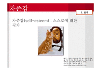 [사회심리] 자존감에 대한 고찰-8