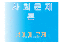 [사회문제론] 성매매 문제와 성매매 특별법 정책에 관한 논쟁-1