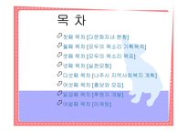 [사회복지] 다문화자녀 합창단 기획안-2