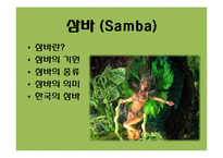 브라질 사회와 문화-쌍 파울로 카니발 삼바 축제-2