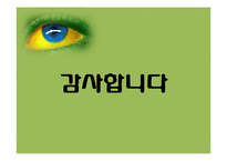 브라질 사회와 문화-쌍 파울로 카니발 삼바 축제-15