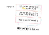 [다문화정책론] 다문화주의 언어 정책 비교-싱가폴, 인도, 한국-6