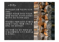 [러시아 역사의 이해] 중세 러시아 농민들의 생활상-6
