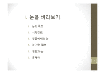 눈의 구조와 시각-3