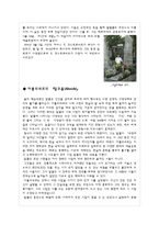[프랑스문학] 기욤 아폴리네르의 생애과 작품 사상-13