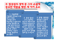 [근대소설론] 횡보 염상섭 생애와 작품론-만세전, 해방의 아들-12