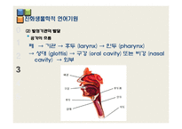 [언어학] 인간의 지능발달과 언어의 기원-18