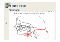 [언어학] 인간의 지능발달과 언어의 기원-19