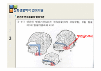 [언어학] 인간의 지능발달과 언어의 기원-20