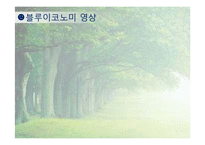 [환경학] 블루이코노미(Blue Economy)사례와 전망-6