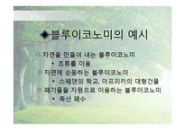 [환경학] 블루이코노미(Blue Economy)사례와 전망-8