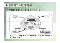 [환경학] 블루이코노미(Blue Economy)사례와 전망-9