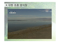 [환경학] 블루이코노미(Blue Economy)사례와 전망-11