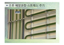 [환경학] 블루이코노미(Blue Economy)사례와 전망-12