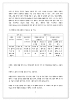 [청소년 교육개론] 멘토링에 대한 심층연구-현재 멘토링 분석을 토대로 한 최상의 멘토링 제안-7
