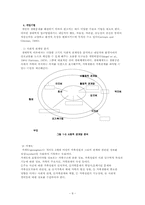 [인간행동과 사회환경] 생태학적이론-8