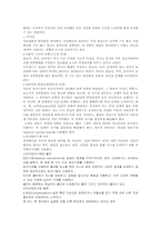 정신분석이론 레포트-3