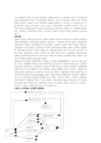 스페인의 의료제도-6