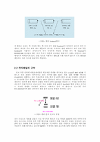 [졸업][경영정보] NT서버기반하에서 SMTP와 ASP를 이용한 웹메일의 구현 방법 설명-5