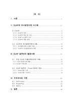 [졸업][경영정보] OLAP 솔루션과 매출관리지원시스템의 그 활용 예-2