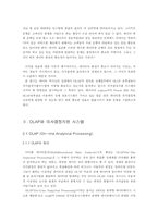 [졸업][경영정보] OLAP 솔루션과 매출관리지원시스템의 그 활용 예-5
