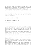 [졸업][경영정보] OLAP 솔루션과 매출관리지원시스템의 그 활용 예-15
