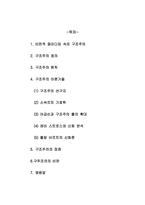 [매스컴이론] 구조주의이론-2