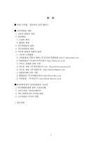 인터넷방송의 대안매체 발전 가능성에 대한 조사-2
