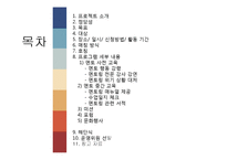 [청소년 교육개론] 멘토링에 대한 심층연구-현재 멘토링 분석을 토대로 한 최상의 멘토링 제안-2