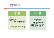 [특수교육] 시각, 청각 장애아의 이해-5