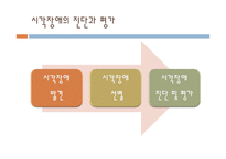[특수교육] 시각, 청각 장애아의 이해-10