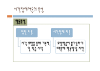 [특수교육] 시각, 청각 장애아의 이해-12