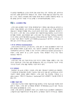 [스마트폰] 스마트폰의 특징과 전망 분석-2