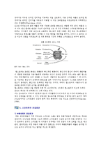 [스마트폰] 스마트폰의 특징과 전망 분석-8