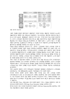 [스마트폰] 스마트폰의 특징과 전망 분석-11