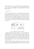 [MIS] 실시간 건강관리 시스템 실버칩(SILVER CHIP)-6